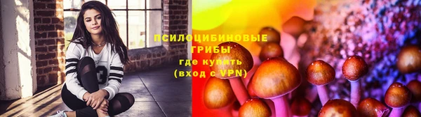 а пвп мука Касимов