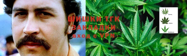 apvp Карпинск