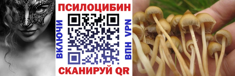 Купить где  Тотьма  Псилоцибиновые грибы прущие грибы 